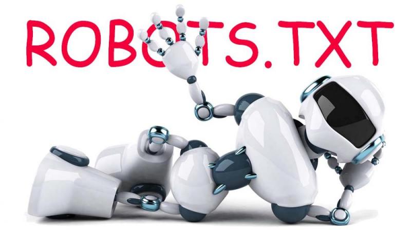 Что такое robots.txt и зачем он нужен в Белгороде